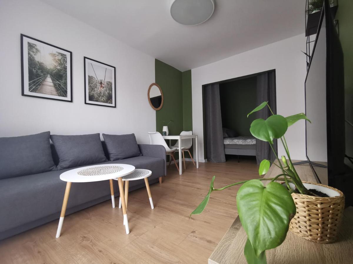 Apartament Skalka Διαμέρισμα Świętochłowice Εξωτερικό φωτογραφία